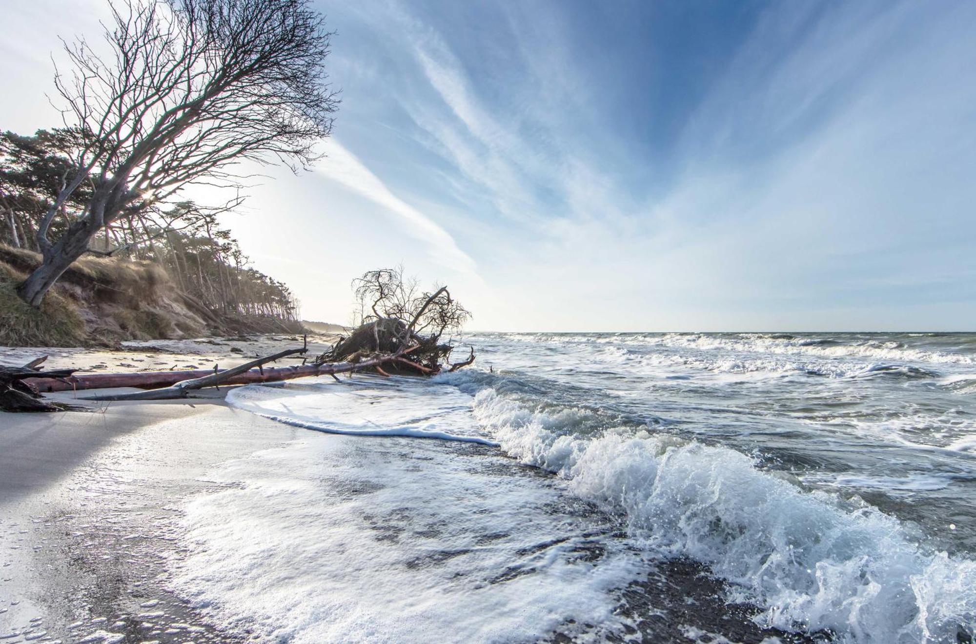 Kranichtanz An Der Seebruecke Zingst Exterior photo